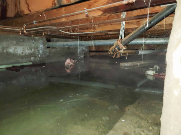 Best Flood damage cleanup  in York, PA